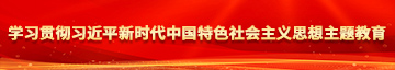 男人肏女人学习贯彻习近平新时代中国特色社会主义思想主题教育